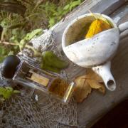 Photo by Engel desTodes