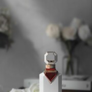 Photo by KiikiKiiki