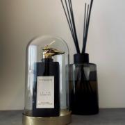 Musc Noir Perfume Enhancer Trussardi perfume - a fragrance for