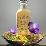 The Virgin Violet Eau de Parfum Gucci perfume - a fragrance for