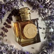 Goddess Parfum Burberry perfume - a new fragrance for women 2025