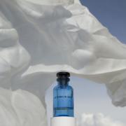 Afternoon Swim Louis Vuitton – HSA Perfumes