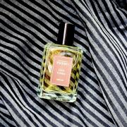 Fava Tonka Phebo perfume - a fragrance for women and men 2019