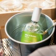 Menta y Menta Miller et Bertaux perfume - a fragrance for