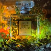 Chanel No  Poudre Chanel perfume   a fragrance for women