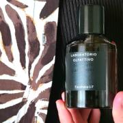 Kashnoir Laboratorio Olfattivo perfume - a fragrance for