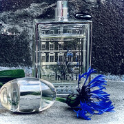 Palazzo Fendi Eau de Toilette Fendi perfume - a fragrance for