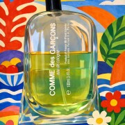 Comme des Garcons Eau de Cologne Comme des Garcons cologne - a Comme des Garcons Eau de Cologne Comme des Garcons cologne - a