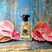 Portrayal Man Amouage cologne - a fragrance for men 2019 Portrayal Man Amouage cologne - a fragrance for men 2019