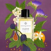 Fig Infusion Essential Parfums perfume - a new fragrance for women and ...