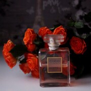 Coco Mademoiselle Chanel parfum - un parfum de dama 2001