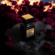 香水(男性用) TOM FORD NOIR DE NOIR 50ml Noir de Noir Eau de Parfum | TOM FORD BEAUTY