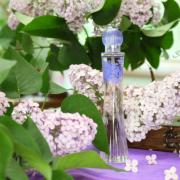 Photo by Sweet Orchid