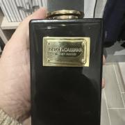 — Dolce & Gabbana Velvet Bergamot