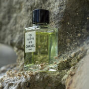 CHANEL n°19 246ml Amazon.com : Chanel No. 19 by Chanel for Women 1.7 oz Eau de