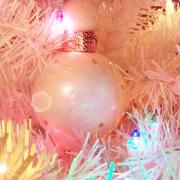 Photo by Abby Normal