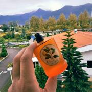 Photo by Morteza Motahari M2