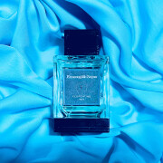 Florentine Iris Ermenegildo Zegna одеколон — аромат для мужчин 2012