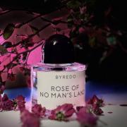 Rose of no discount man's land fragrantica