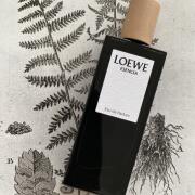 Esencia pour Homme Eau de Parfum Loewe 古龙水- 一款2018年男