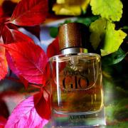 Giorgio Armani GIO vintage eau de parfum – F Vault