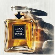 CHANEL COCO Eau de Parfum & N°5 & N°19 COCO NOIR Eau de Parfum Spray (EDP) - 3.4 FL. OZ. | CHANEL