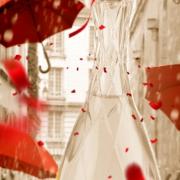 Photo by Scent_Insensibility