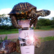 Photo by Abby Normal