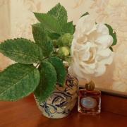 Photo by LilyLily1993