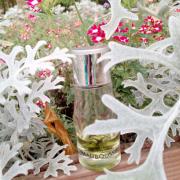 Photo by loveperfumes