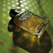 Safari for Men Ralph Lauren cologne - a fragrance for men 1992