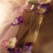 香水(女性用) Maison Violet Pourpre d'Automne Pourpre d'Automne Maison Violet perfume - a fragrance for