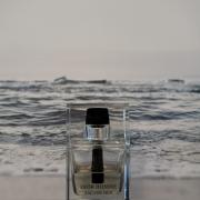 H*B様 ディオール オム オー フォーメン eau for men 100ml Dior Homme Eau de Toilette Cologne Fragrance for Men | Dior US