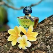 Photo by HelenRainbow