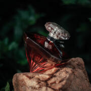 Photo by Sebastian1623