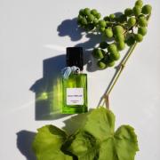 Vivaciously Bold Diana Vreeland perfume - a fragrance for women and men ...