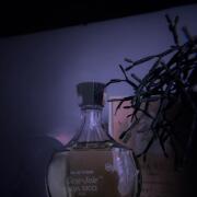Coeur Joie Nina Ricci perfume - a fragrance for women 1946