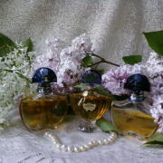 Shalimar Eau de Parfum Guerlain perfume - a fragrance for