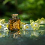 Vol de Nuit Extract Guerlain perfume - a fragrance for women