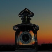 Vol De Nuit Eau De Toilette Guerlain perfume - a fragrância