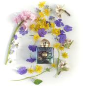 Figment Woman Amouage perfume - a fragrance for women 2017