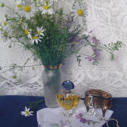 Photo by Lady Winter