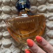 shalimar oud fragrantica