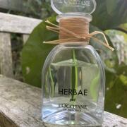 その他 HERBAE L'Occitane Eau de Toilette 50ml Herbae par L'OCCITANE en Provence | The Fragrance Of Natural