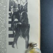 Photo by Vibia Sabina