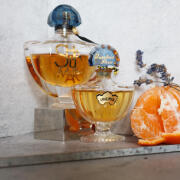 Photo by BellaMossad