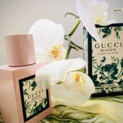 Gucci Bloom Acqua di Fiori Gucci perfume - a fragrance for women 2018
