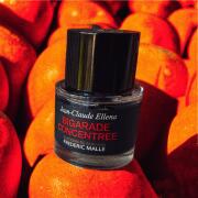 フレデリックマル BIGARADE CONCENTREE 50ml ビガラード FREDERIC MALLE（FREDERIC MALLE） ビガラード コンサントレ