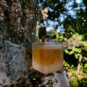 Photo by fabrice1977