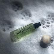 JE NE SAIS QUOI Genmaisha Addictive unisex fragrance – Teo